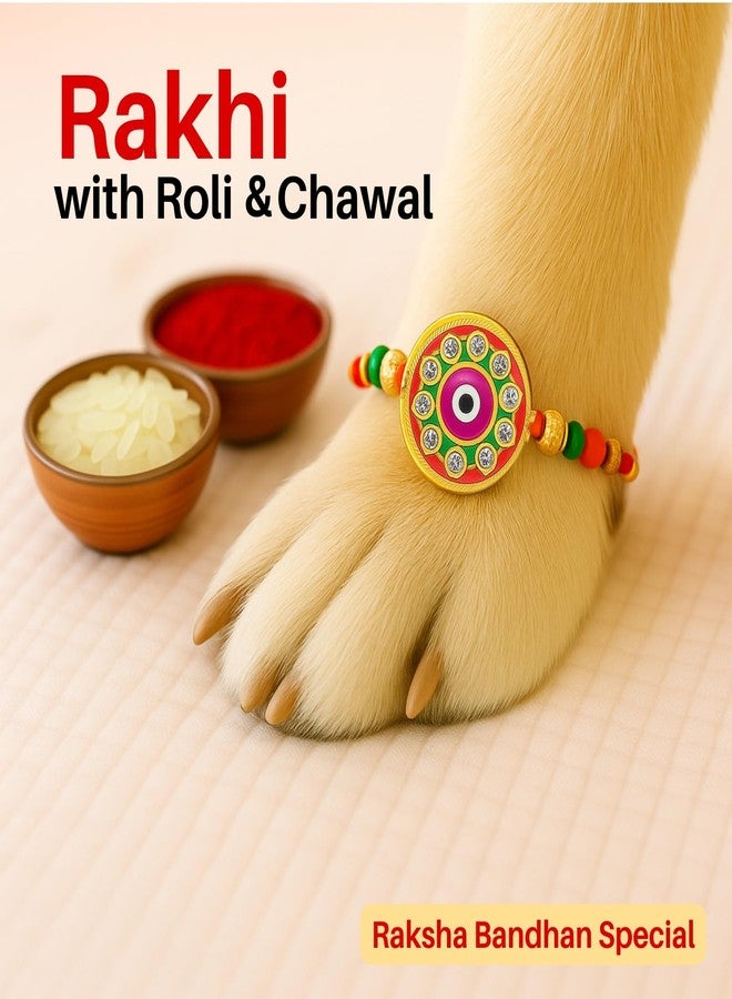 Sage Square Paw Bandhan Rakhi for Dog, Cat & Small Pets | Celebrate Bonds of Love This Raksha Bandhan | Cute Rakhi with Beads, Decorative Threads | Gift for Pet Lovers & Furry Companions (Type 24) - Image 3